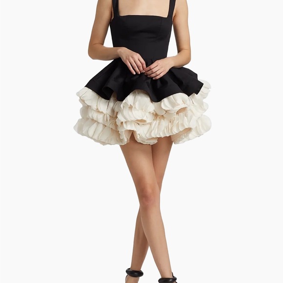 Bronx and Banco
Catalina Ruffled Satin Minidress - Picture 2 of 5